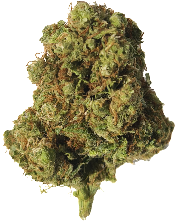 Super Lemon Haze Freezdry