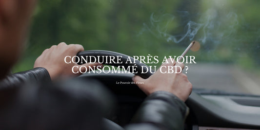 Conduire après avoir fumé du CBD