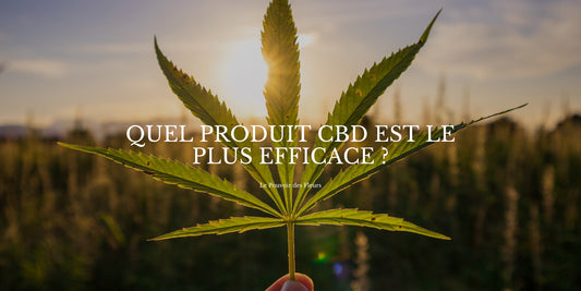 Quel est le CBD le plus efficace