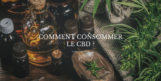 Comment consommer le CBD ?