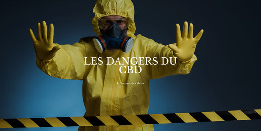 Les dangers du CBD