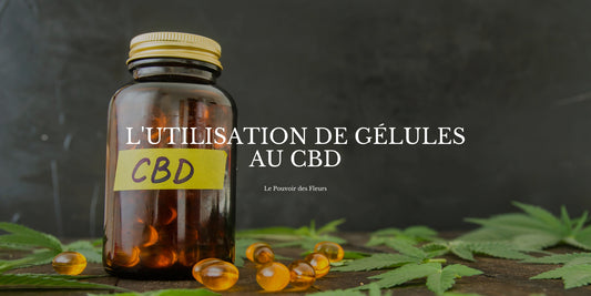 Gélule CBD