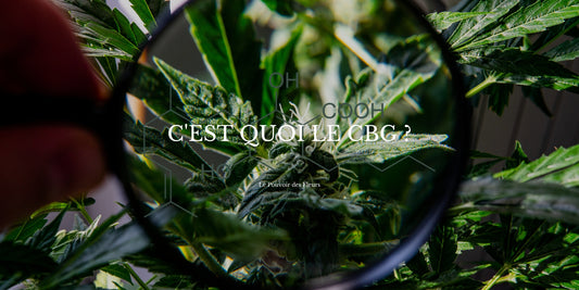 CBG
