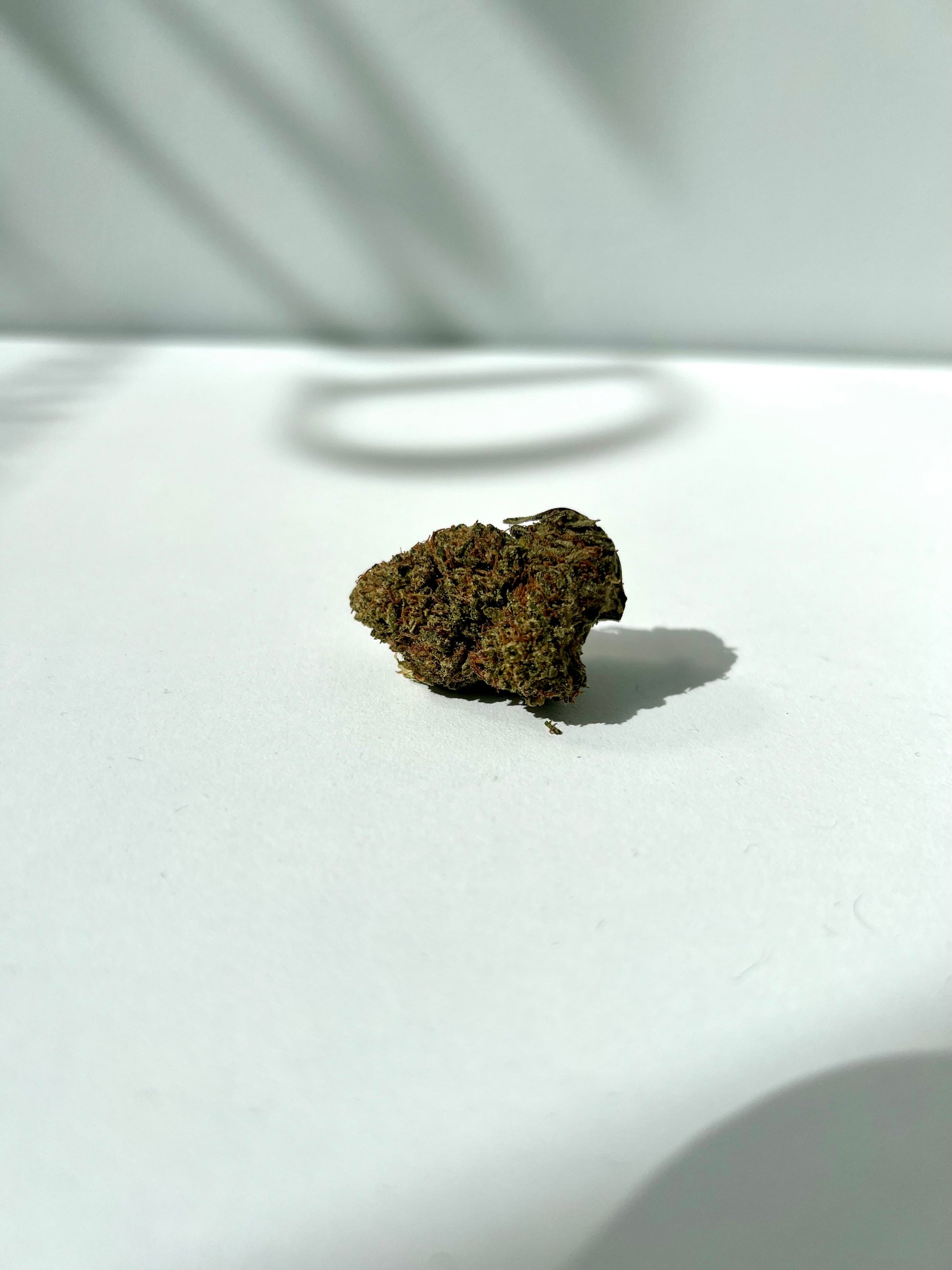 Candy Melon THCP