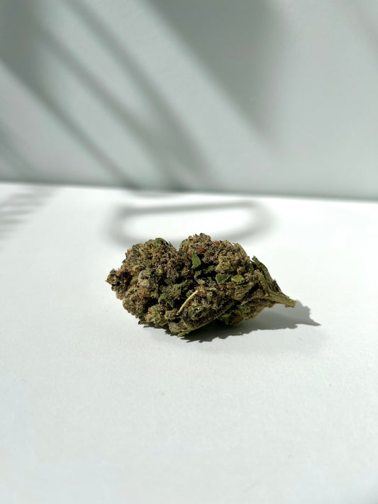 Northern Light CBD