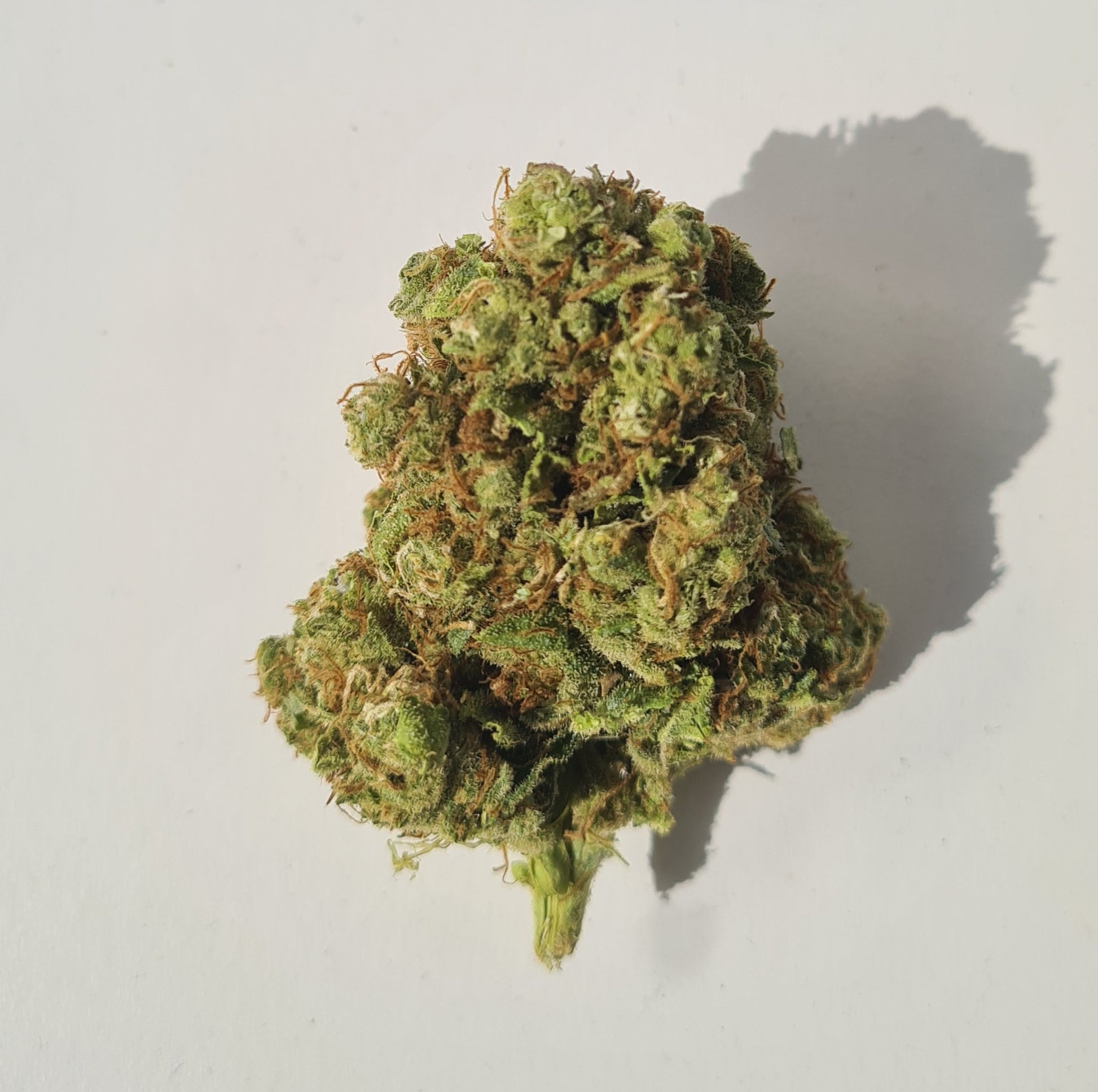 Super Lemon Haze Freezedry