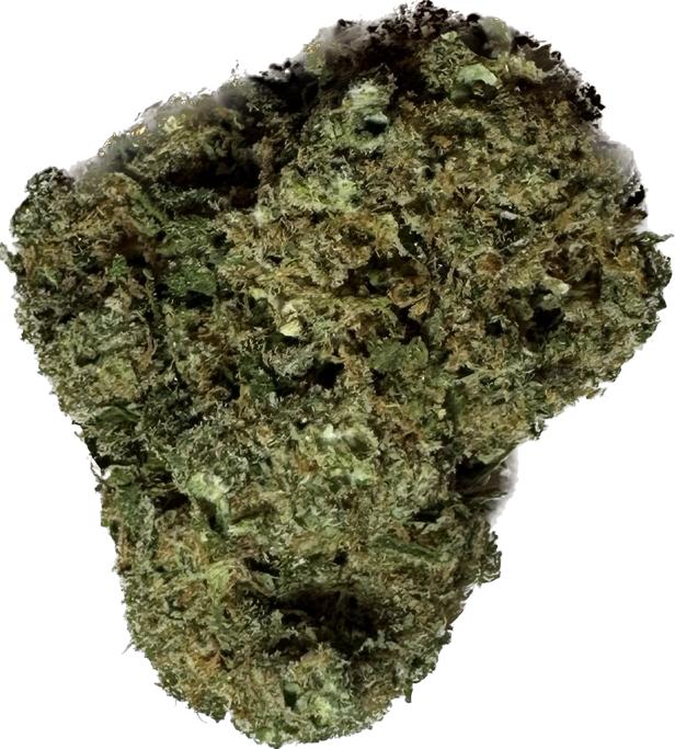 Critical Cheese - CBD
