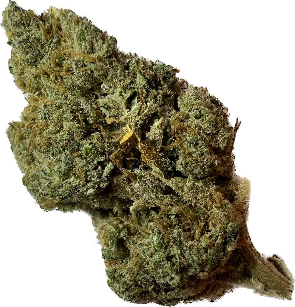 Amnesia CBD